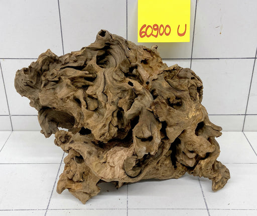 60900U - Ubatuba Wurzel Holz