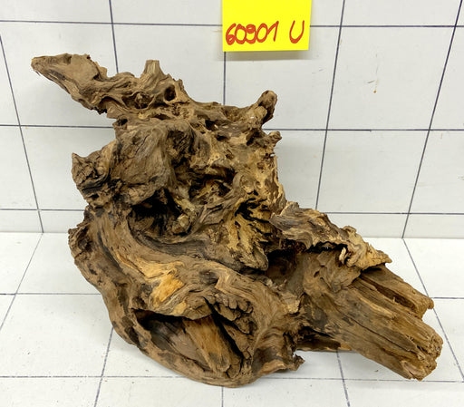 60901U - Ubatuba Wurzel Holz