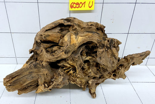60901U - Ubatuba Wurzel Holz