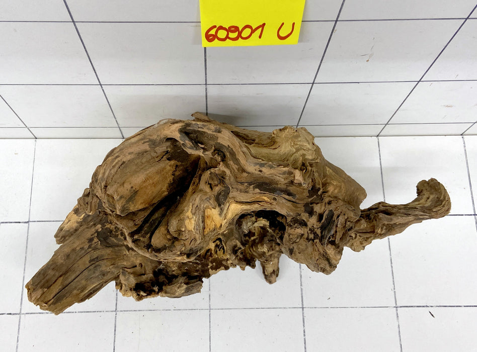 60901U - Ubatuba Wurzel Holz