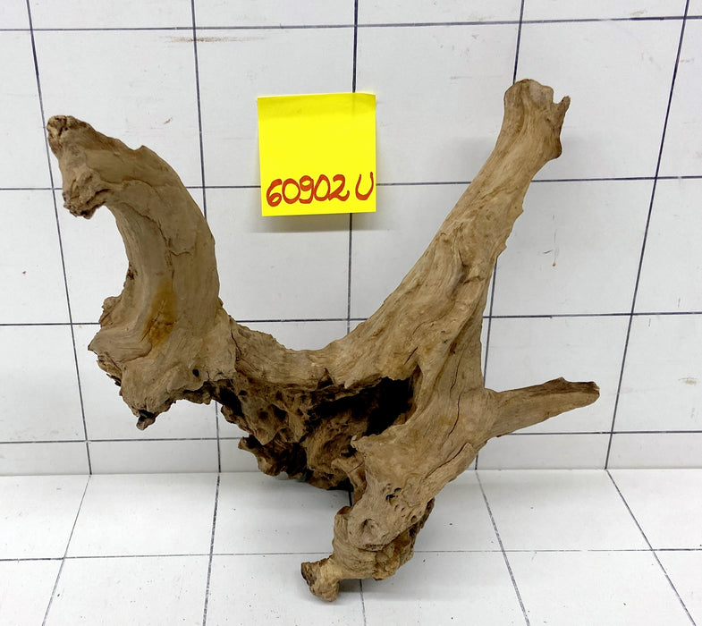 60902U - Ubatuba Wurzel Holz