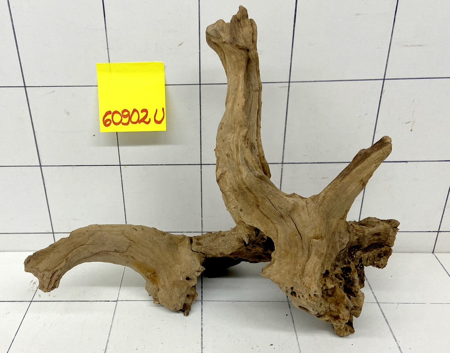 60902U - Ubatuba Wurzel Holz