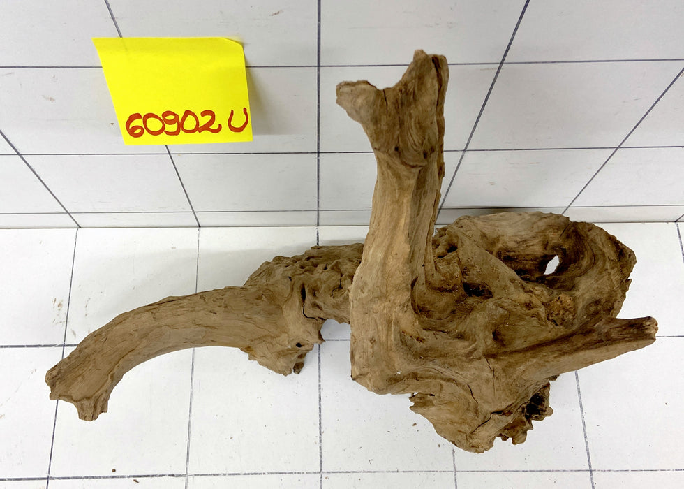 60902U - Ubatuba Wurzel Holz