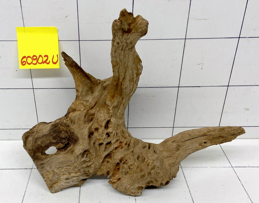 60902U - Ubatuba Wurzel Holz