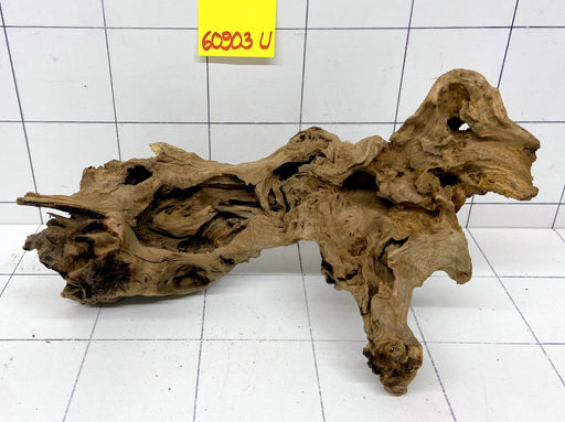 60903U - Ubatuba Wurzel Holz