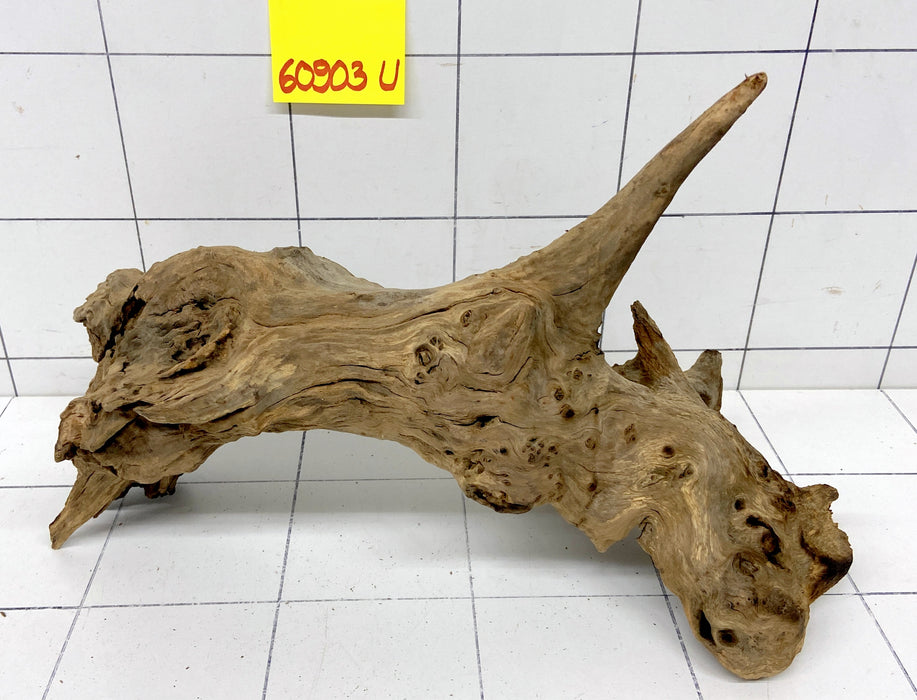 60903U - Ubatuba Wurzel Holz