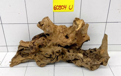 60904U - Ubatuba Wurzel Holz