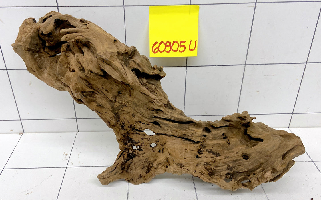 60905U - Ubatuba Wurzel Holz