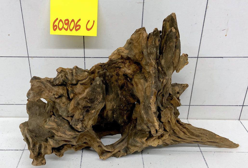 60906U - Ubatuba Wurzel Holz