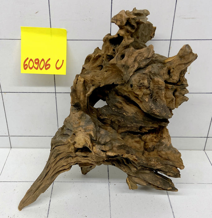 60906U - Ubatuba Wurzel Holz