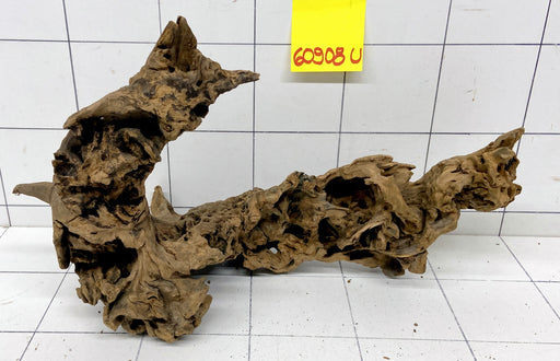 60908U - Ubatuba Wurzel Holz