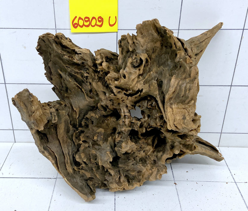 60909U - Ubatuba Wurzel Holz