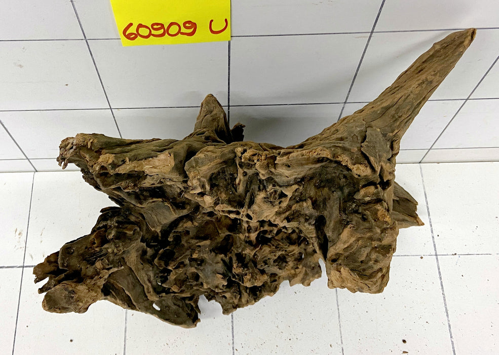 60909U - Ubatuba Wurzel Holz