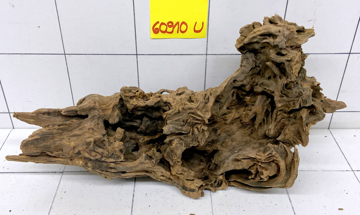 60910U - Ubatuba Wurzel Holz