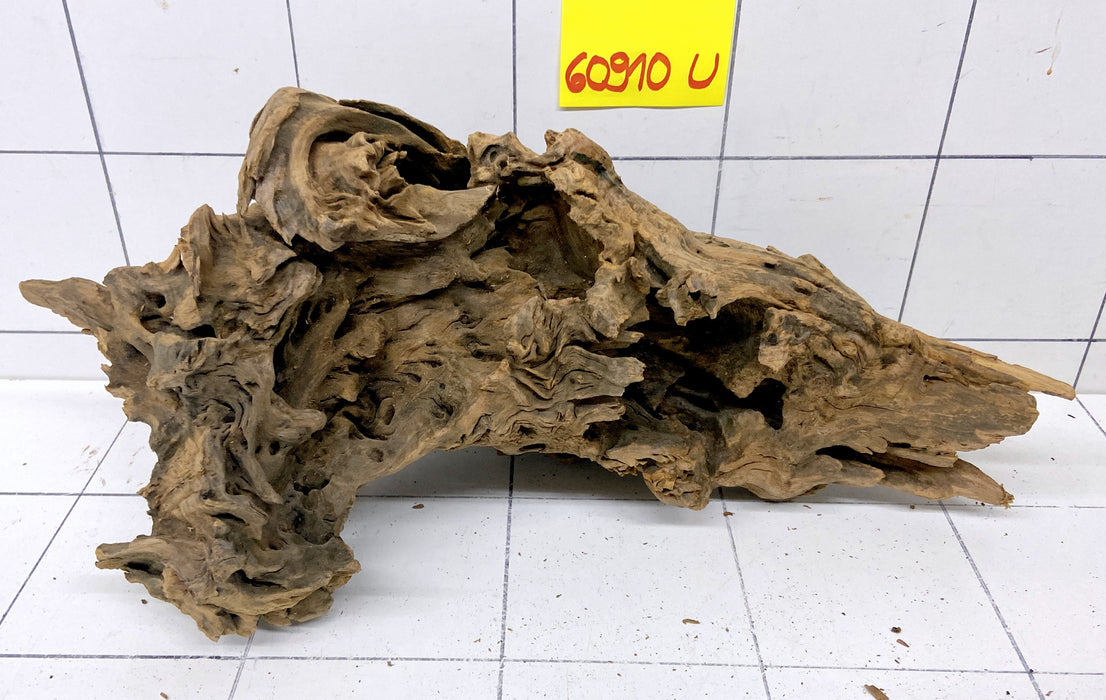 60910U - Ubatuba Wurzel Holz