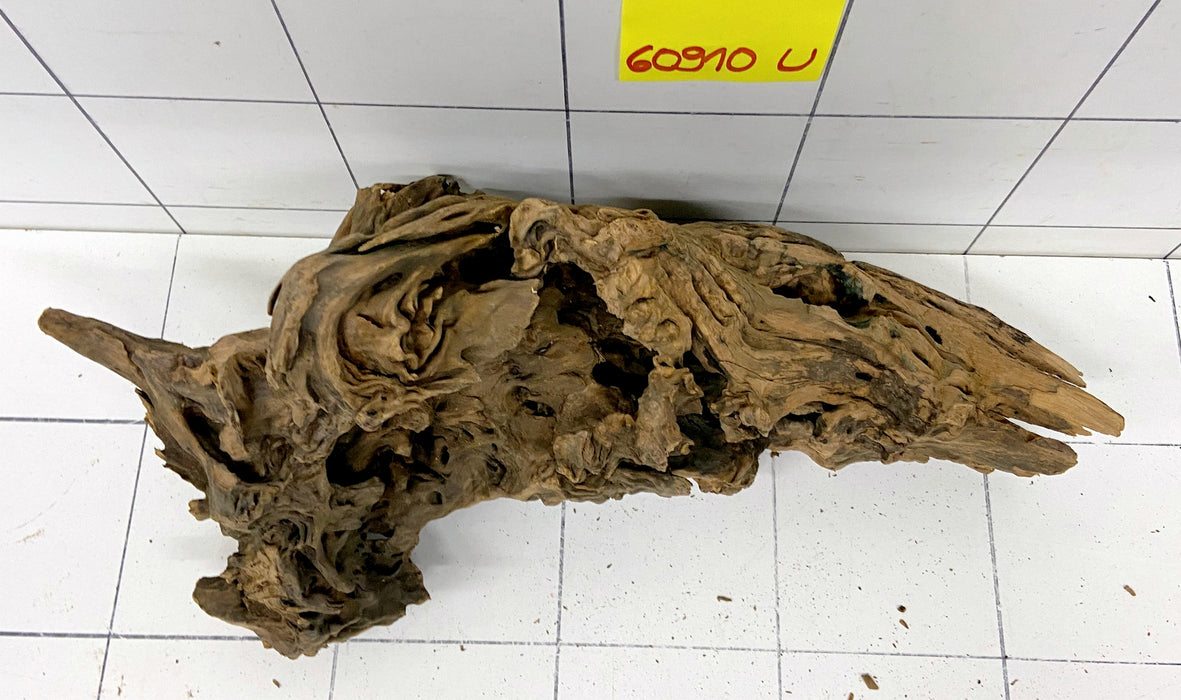 60910U - Ubatuba Wurzel Holz