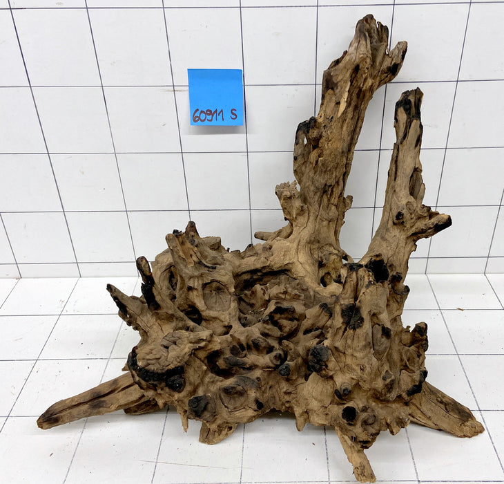 60911S Samoa Wurzel Holz XL