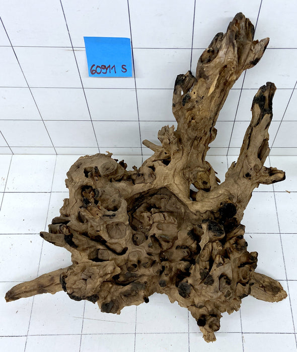 60911S Samoa Wurzel Holz XL