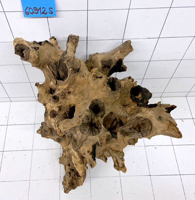 60912S Samoa Wurzel Holz XL