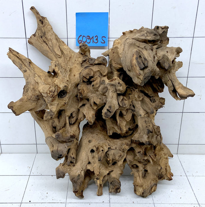 60913S Samoa Wurzel Holz XL