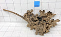 60917S Samoa Wurzel Holz XL