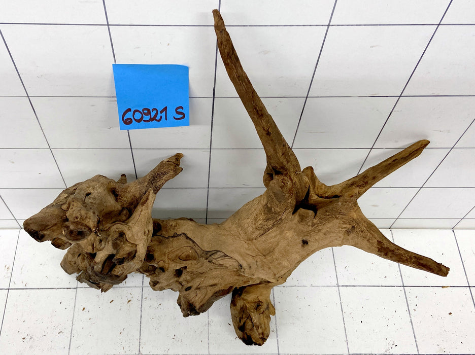 60921S Samoa Wurzel Holz