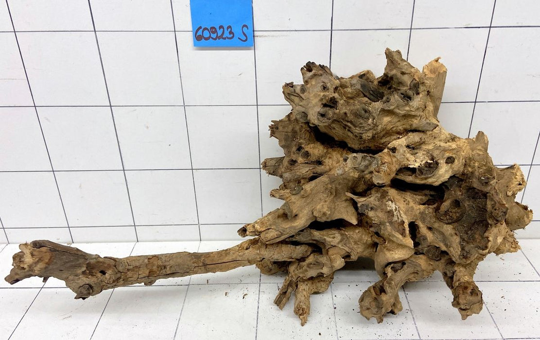 60923S Samoa Wurzel Holz
