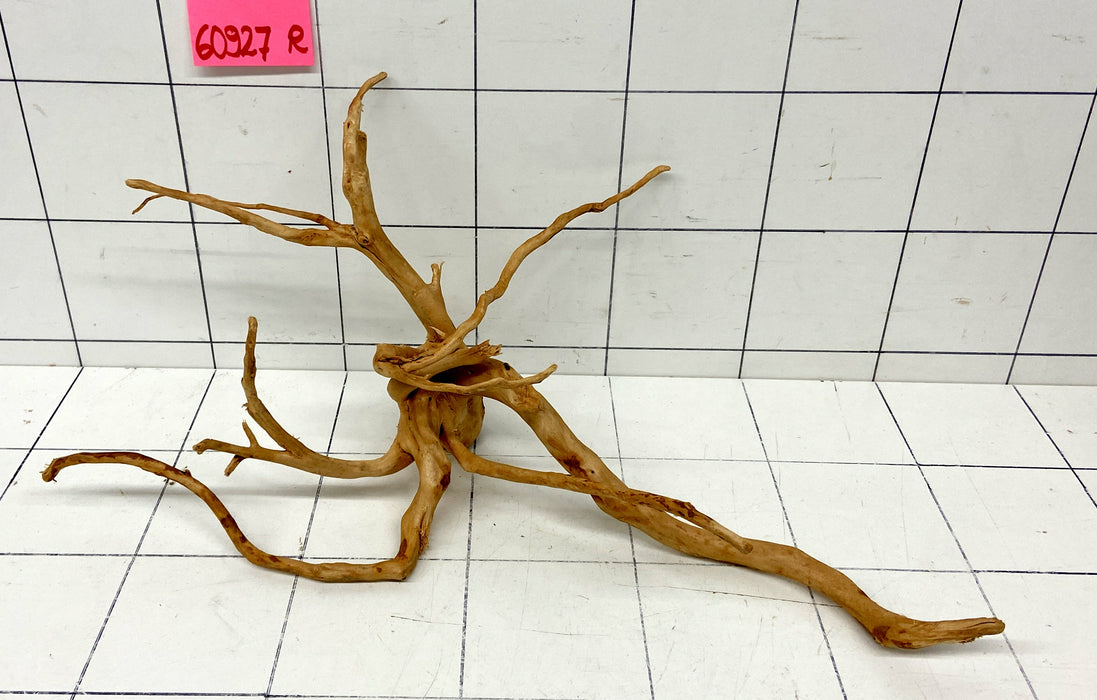 60927R Fingerwood / Rote Moorwurzel Holz