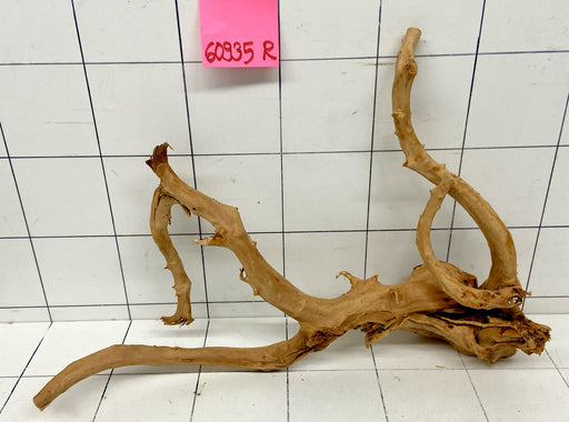 60935R Fingerwood / Rote Moorwurzel Holz