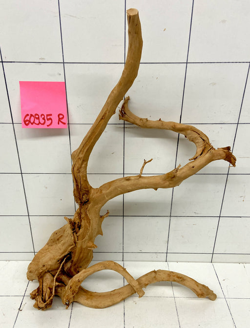 60935R Fingerwood / Rote Moorwurzel Holz