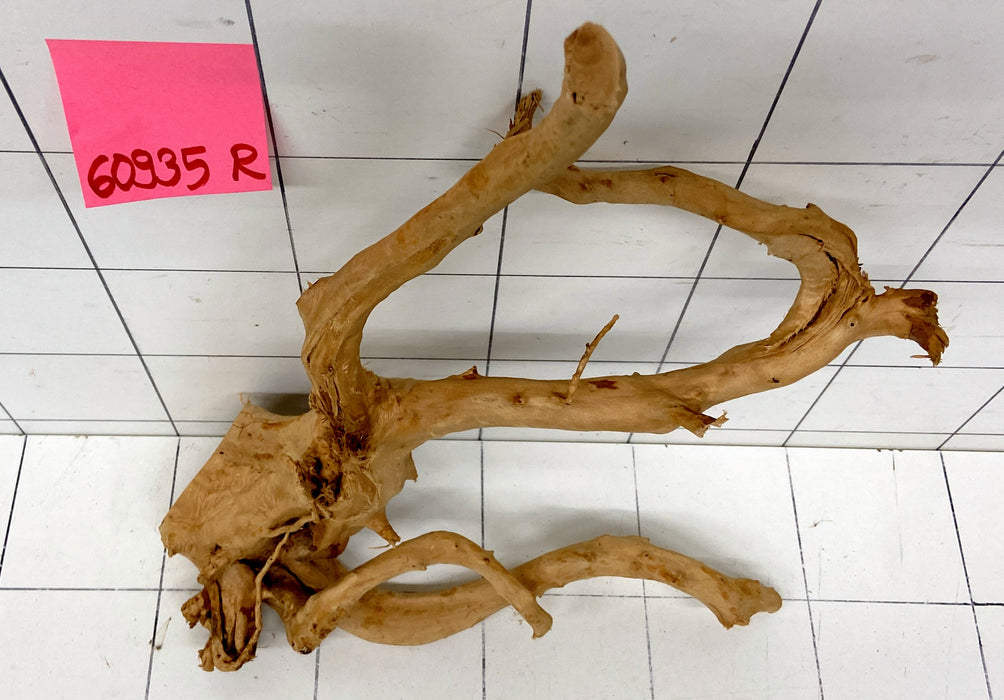 60935R Fingerwood / Rote Moorwurzel Holz