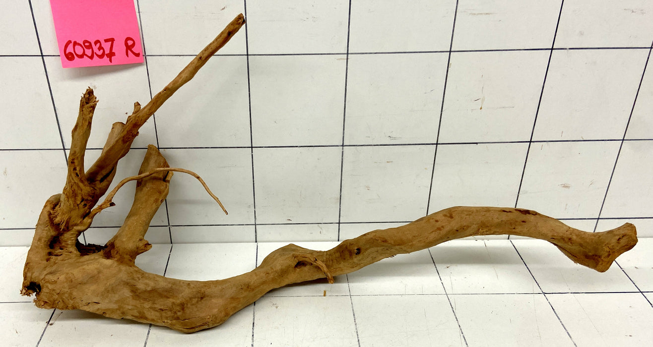 60937R Fingerwood / Rote Moorwurzel Holz