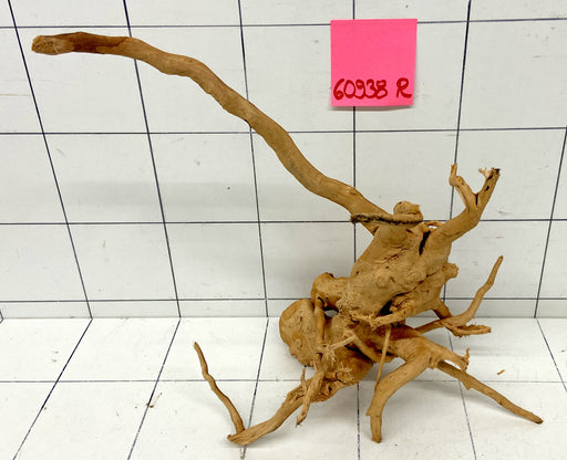 60938R Fingerwood / Rote Moorwurzel Holz