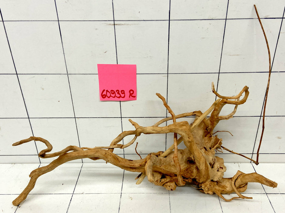 60939R Fingerwood / Rote Moorwurzel Holz