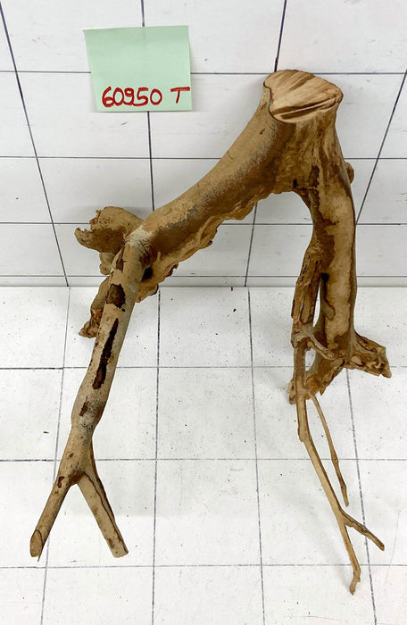 60950T Talawa Wurzel Holz