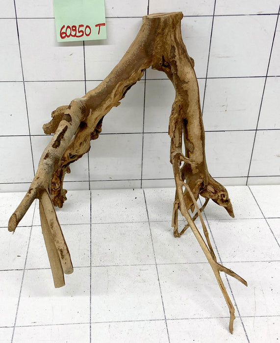 60950T Talawa Wurzel Holz