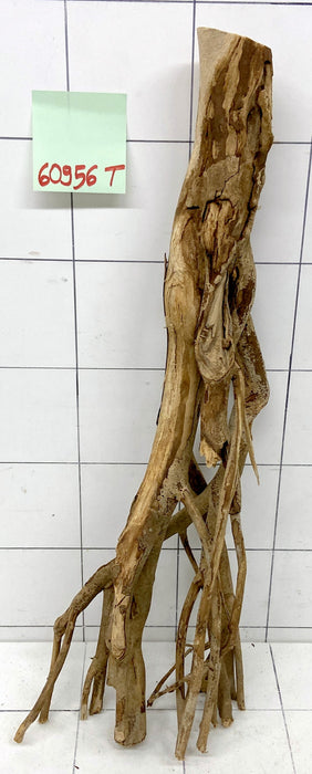 60956T Talawa Wurzel Holz