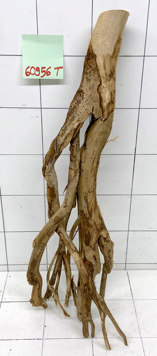 60956T Talawa Wurzel Holz