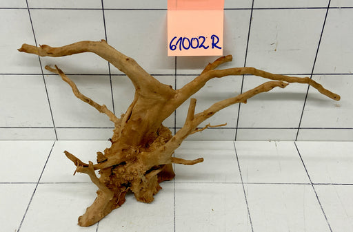 61002R Fingerwood / Rote Moorwurzel Holz