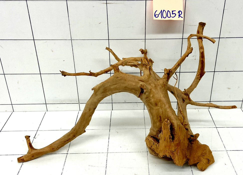 61005R Fingerwood / Rote Moorwurzel Holz