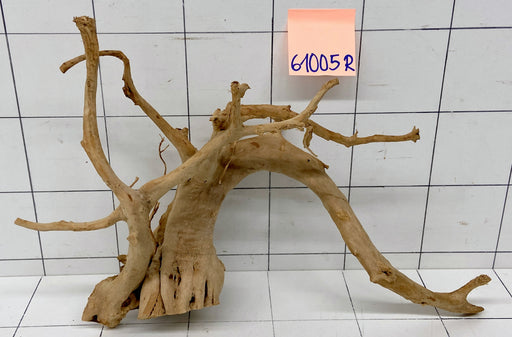 61005R Fingerwood / Rote Moorwurzel Holz