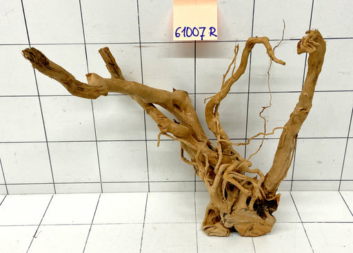 61007R Fingerwood / Rote Moorwurzel Holz