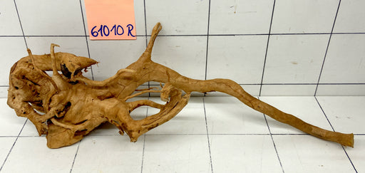 61010R Fingerwood / Rote Moorwurzel Holz