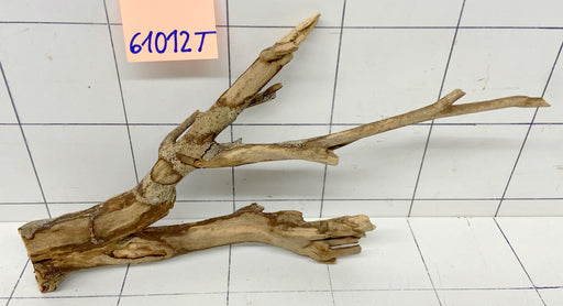 61012T Talawa Wurzel Holz