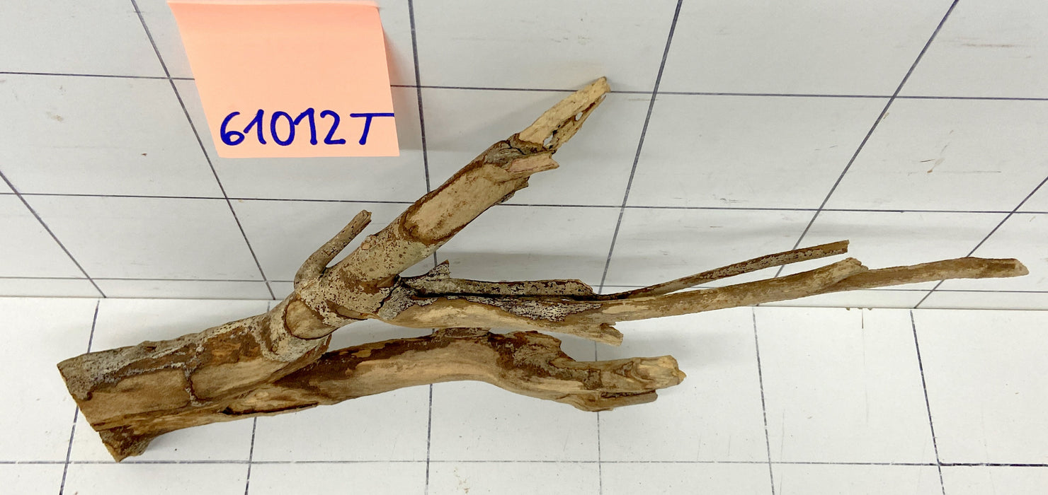 61012T Talawa Wurzel Holz