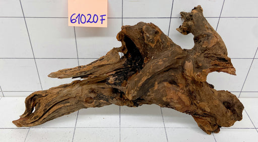 61020F Flussholz / Driftwood / Flusswurzel