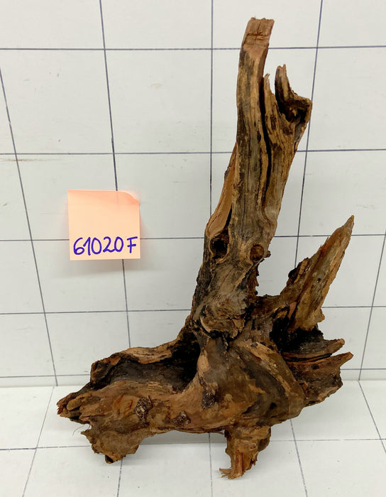 61020F Flussholz / Driftwood / Flusswurzel