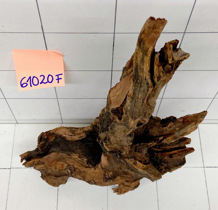61020F Flussholz / Driftwood / Flusswurzel