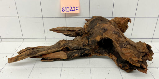 61020F Flussholz / Driftwood / Flusswurzel