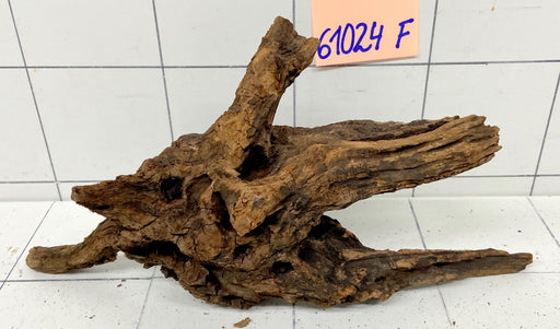 61024F Flussholz / Driftwood / Flusswurzel